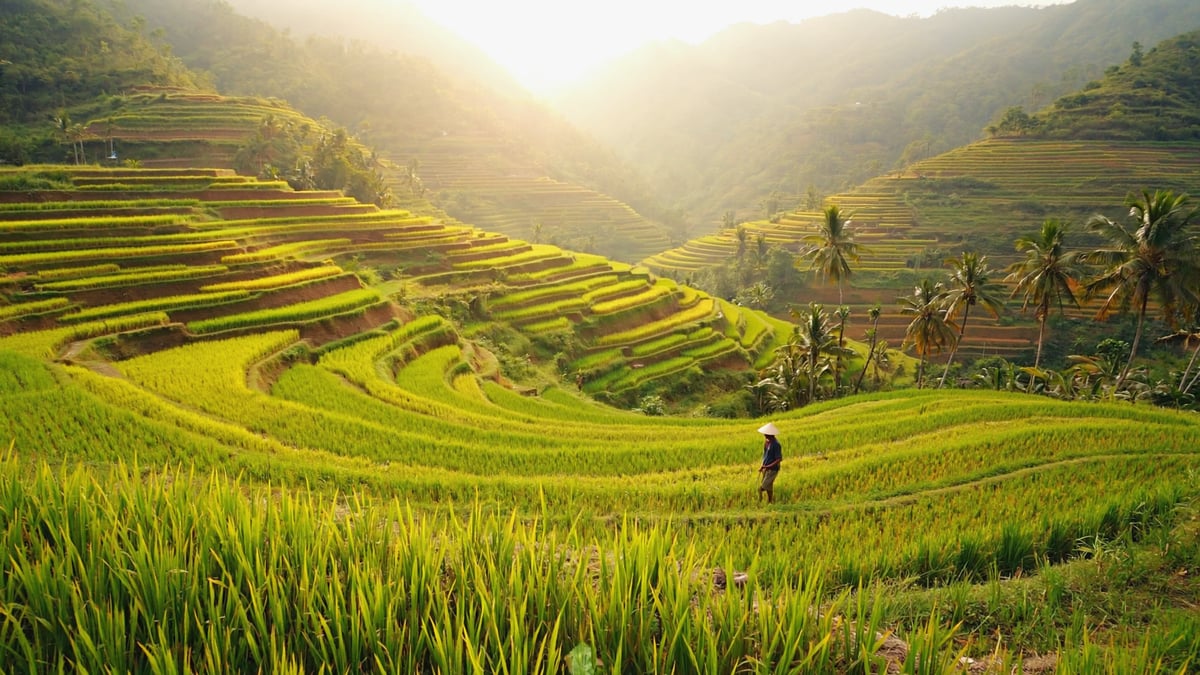 Natural landscape near Bali Holiday
