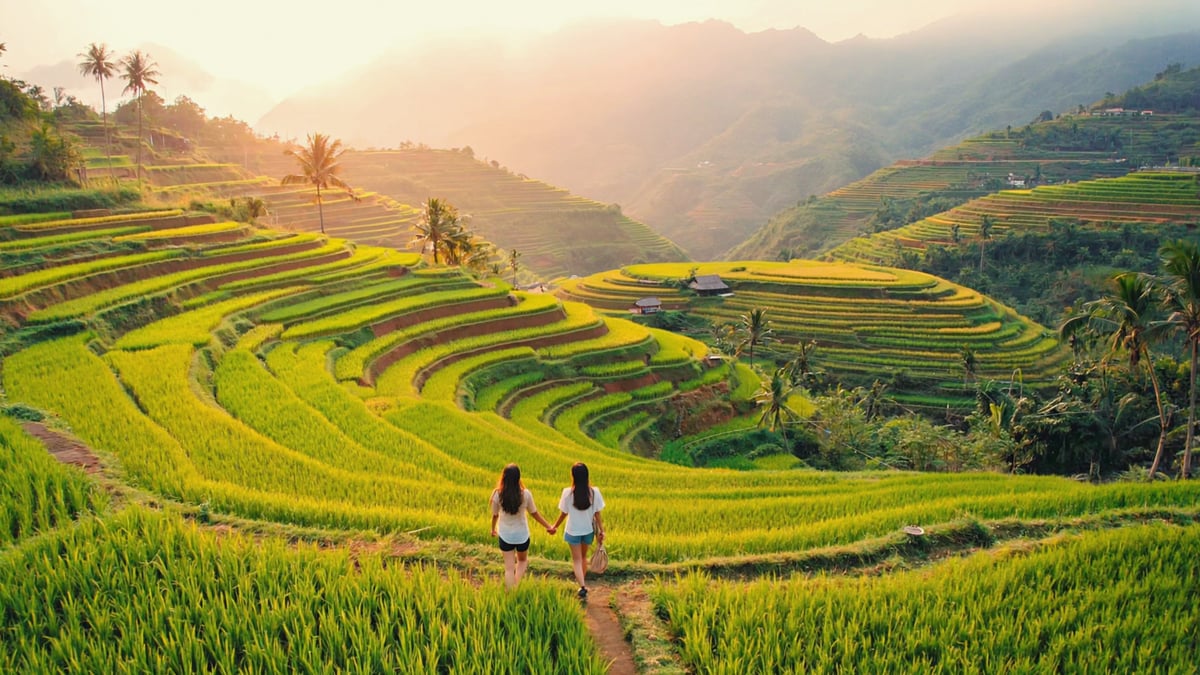 Natural landscape near Bali Honeymoon