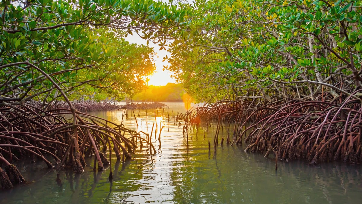 Natural landscape near Costa