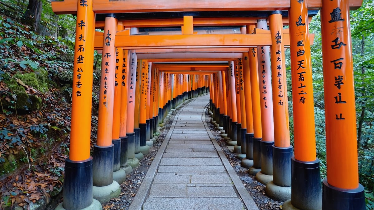 Kyoto Holiday Guide: Geisha Districts, Bamboo Forests & Zen Gardens