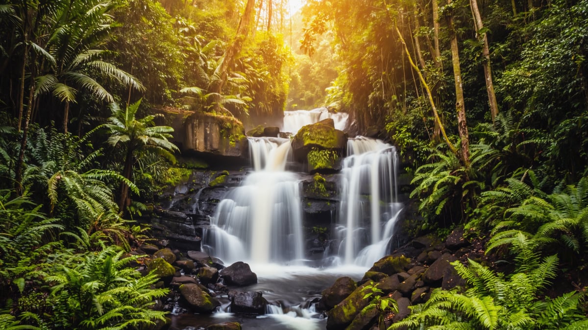 Black River Gorges national park waterfall