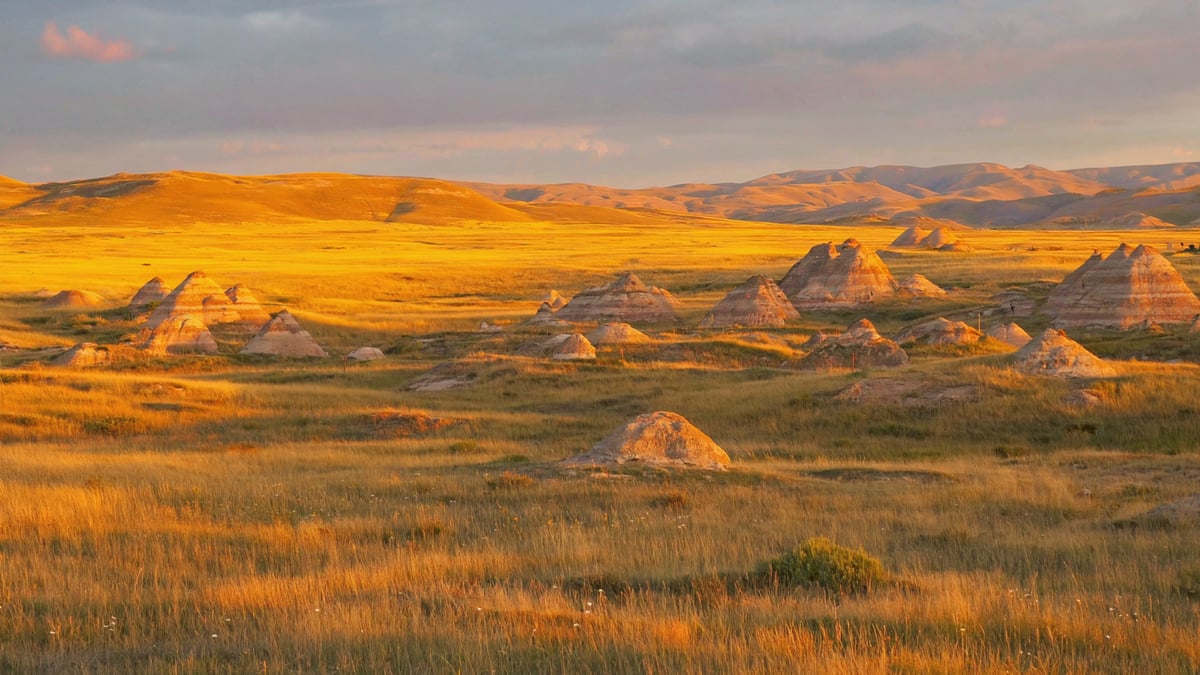 Natural landscape near Step