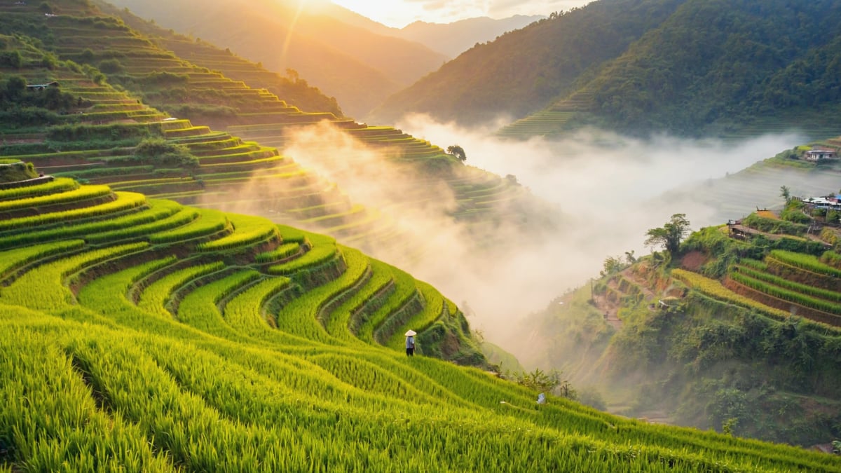 Sapa rice terraces at sunrise with mist