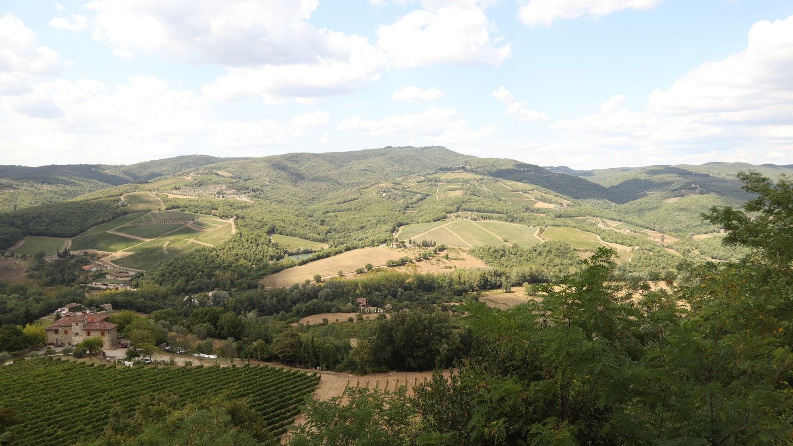 The Chianti wine tour