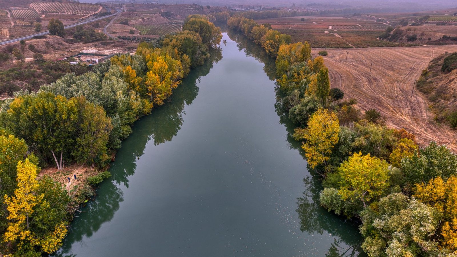 La Rioja winery day
