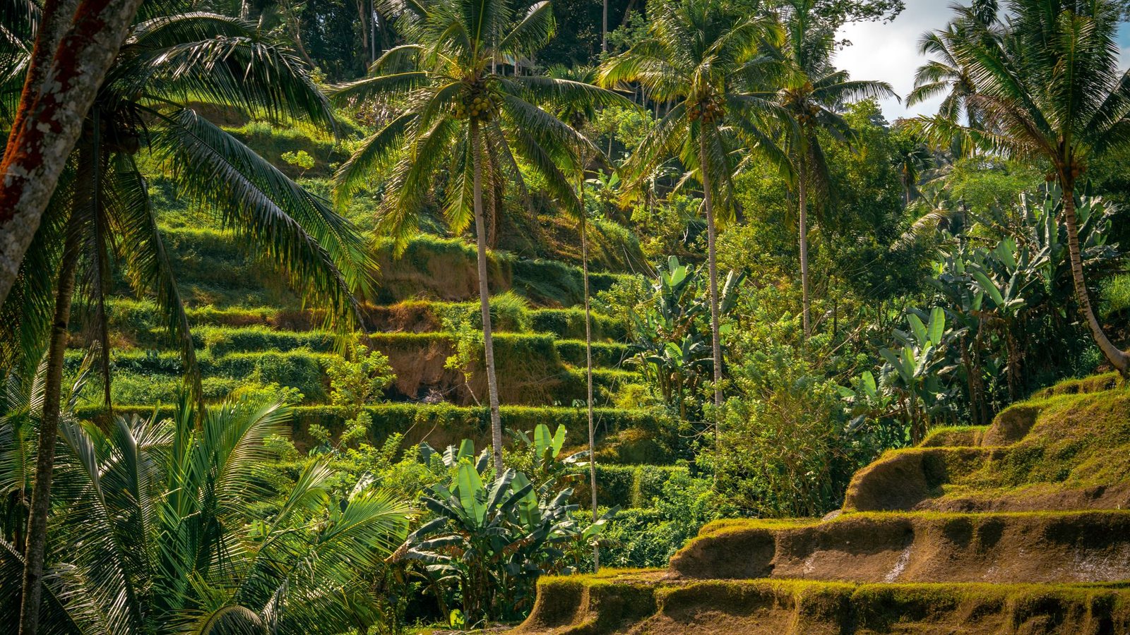 Ubud