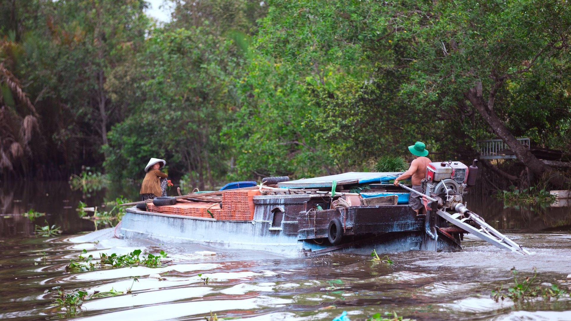 Vietnam Explorer — photo 1