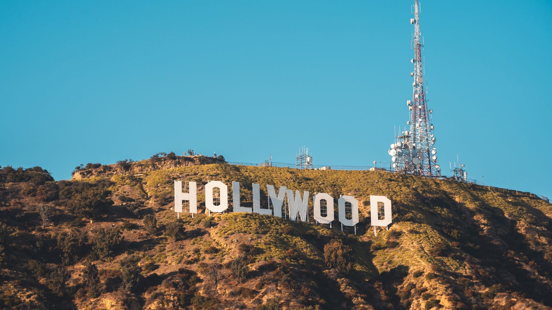 LA Hollywood Dreams