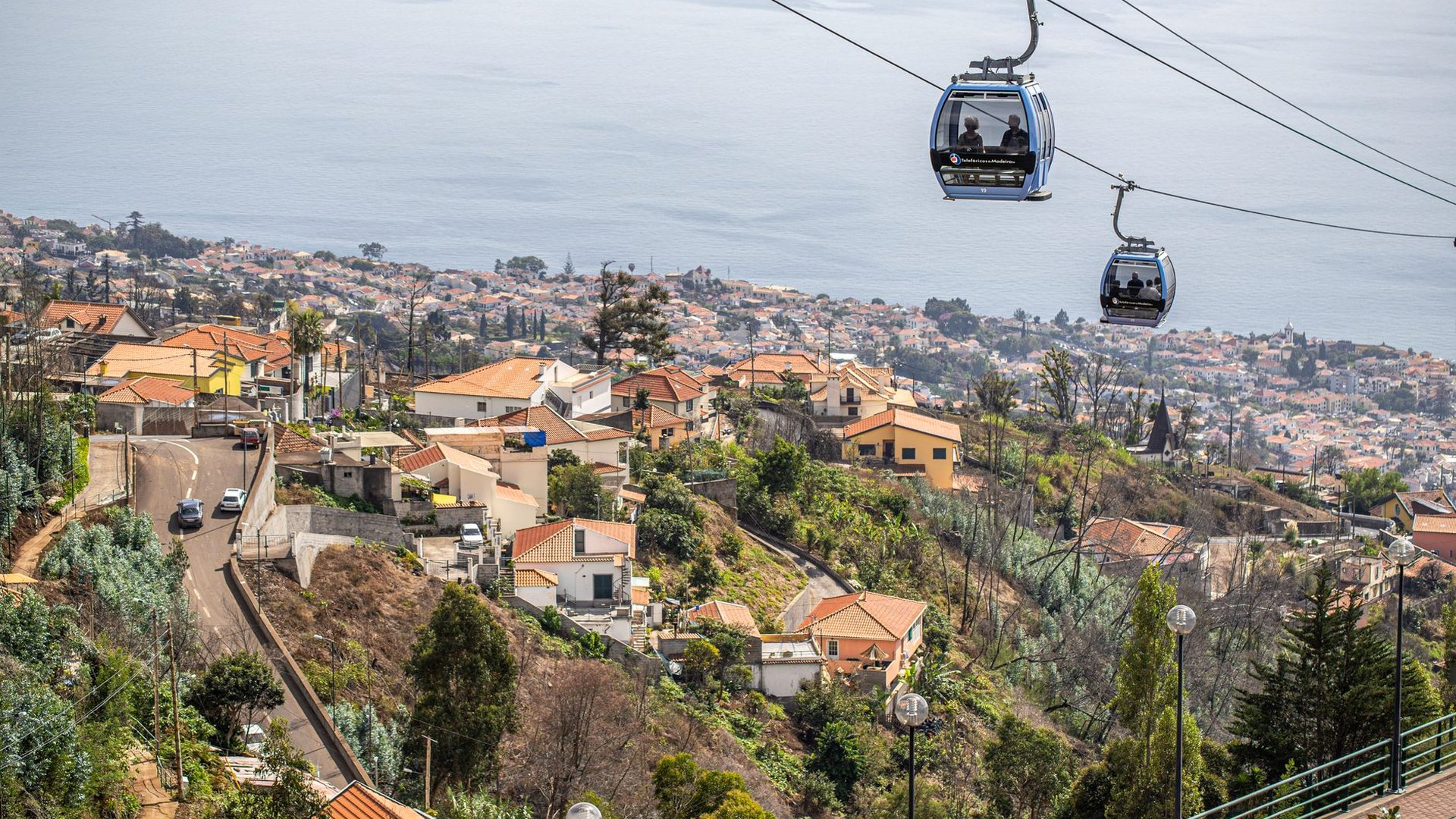 Monte by cable car and toboggan